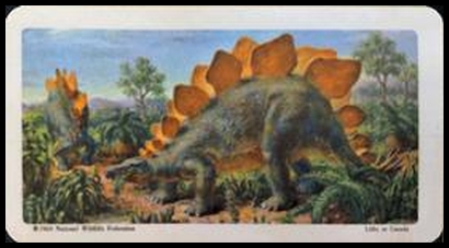29 Stegosaurus